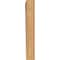 Ekena Millwork Olympic Traditional Smooth Bracket, Western Red Cedar, 3 1/2"W x 20"D x 24"H BKT04X20X24OLY01SWR - alternate 3